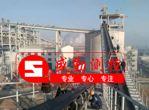 生物質(zhì)發(fā)電項目中皮帶秤計量注意的事項 生物質(zhì)發(fā)電項目中皮帶秤計量注意的事項