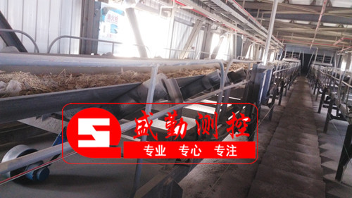 皮帶�?.jpg 皮帶�?.jpg