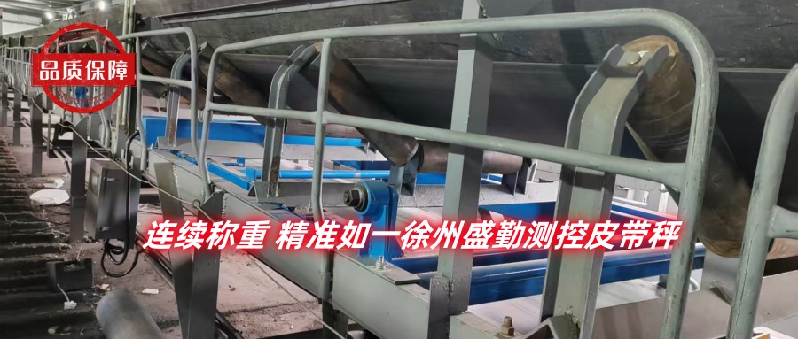 皮帶秤生物質(zhì).jpg 皮帶秤生物質(zhì).jpg